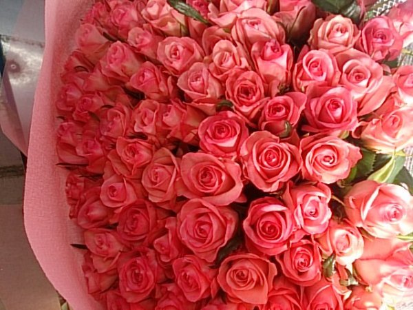 画像3: 100本バラ花束 (3)
